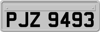 PJZ9493