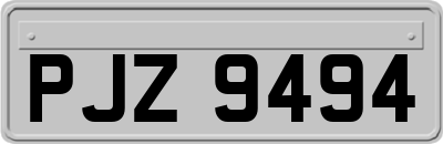 PJZ9494