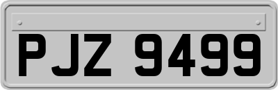 PJZ9499