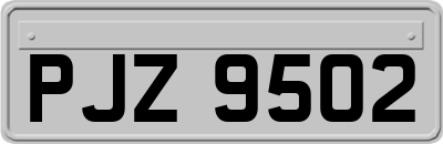 PJZ9502