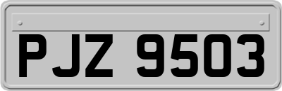 PJZ9503