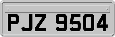 PJZ9504