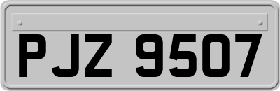 PJZ9507
