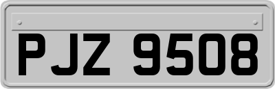 PJZ9508