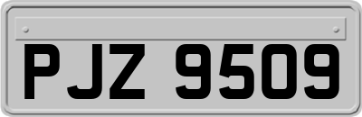 PJZ9509