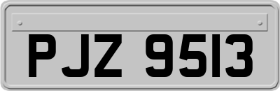 PJZ9513