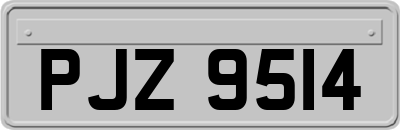 PJZ9514