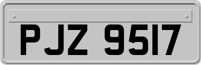 PJZ9517