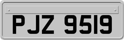 PJZ9519