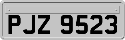 PJZ9523