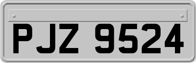 PJZ9524