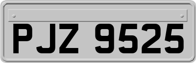 PJZ9525