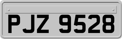 PJZ9528