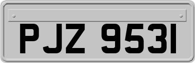 PJZ9531