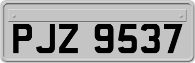 PJZ9537