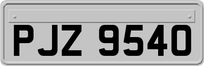 PJZ9540