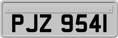 PJZ9541