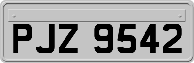 PJZ9542
