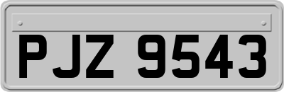 PJZ9543