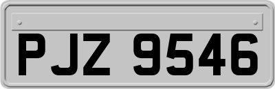 PJZ9546