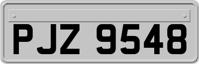 PJZ9548