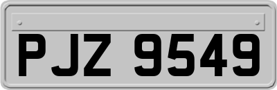 PJZ9549