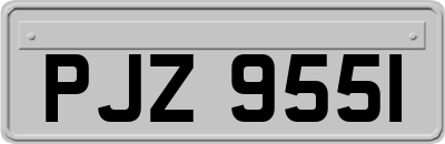 PJZ9551