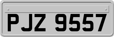 PJZ9557