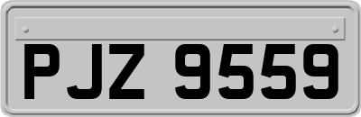 PJZ9559