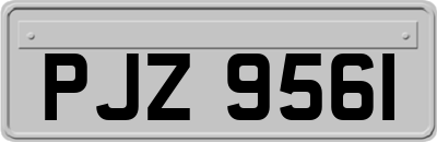 PJZ9561