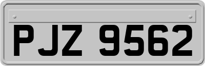 PJZ9562
