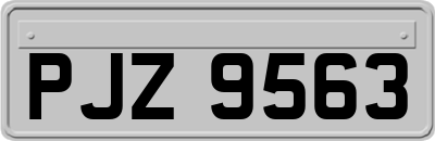 PJZ9563
