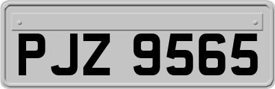 PJZ9565