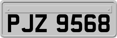 PJZ9568