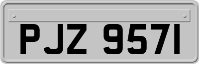 PJZ9571