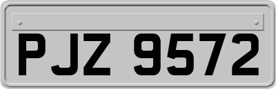 PJZ9572
