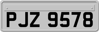 PJZ9578