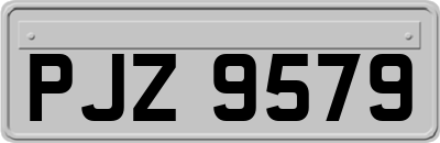 PJZ9579