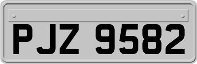 PJZ9582