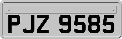 PJZ9585