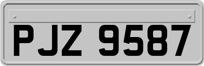 PJZ9587
