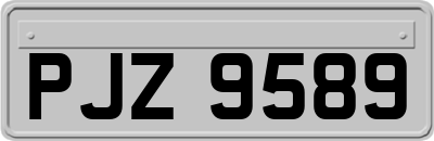 PJZ9589