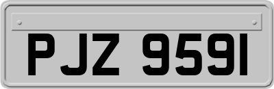 PJZ9591
