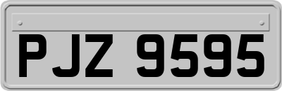 PJZ9595