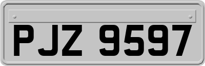 PJZ9597