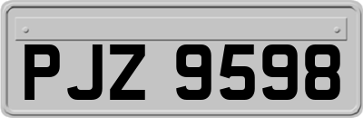 PJZ9598
