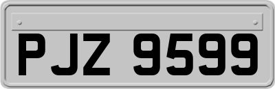 PJZ9599