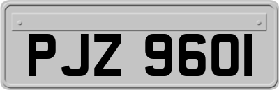 PJZ9601