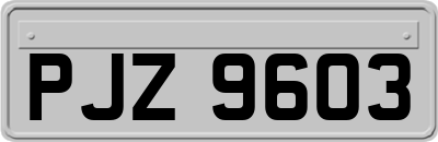 PJZ9603