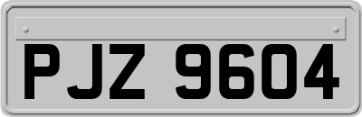 PJZ9604